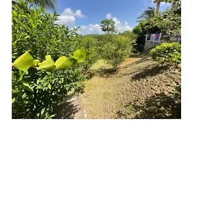 villa-lutecia.comcaribbean.com/